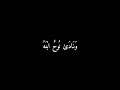 تلاوة قرانية هادئه من سورة هود بصوت القارئ محمد صديق المنشاوئ كرومات قران شاشه سوداء للتصميم قرآن