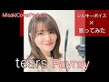 【歌ってみた】tears/Fayray covered by Misaki (原曲キー)