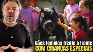 Muitos Ainda Têm Medo Mas Essas Crianças Confiam Totalmente Nesses Cães