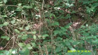 DSCF0005