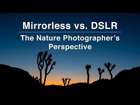 mirrorless-vs-dslr-cameras-for-nature-photos-|-outdoor-photography-tips