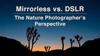 Mirrorless vs DSLR Cameras for Nature Photos | Outdoor Photography Tips