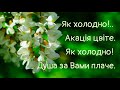 Як холодно! Ліна Костенко. Читає Вікторія Сергієнко. @SertsiaGolos