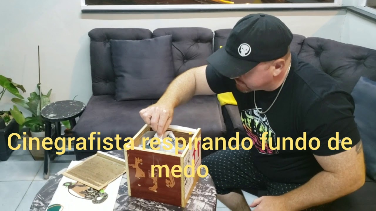 Chegou minha Jibóia