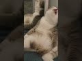 Soulja Boy - Crank That (Snoring Remix)
