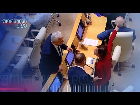 ორი დღის ქრონიკა პარლამენტიდან | გურამ როგავას მიმოხილვა