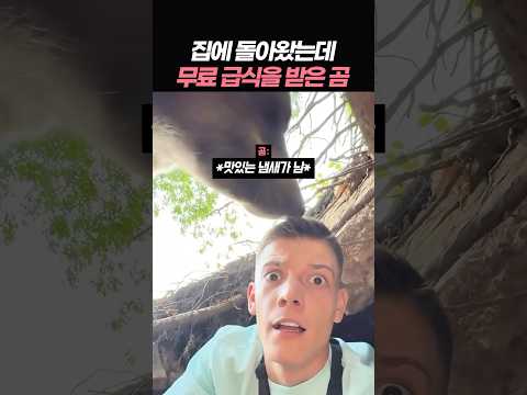 집에 돌아왔는데 무려 급식을 받은 곰 thumbnail