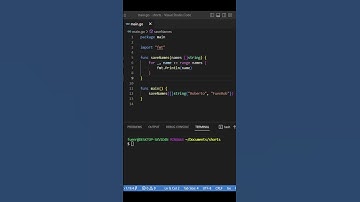 El truquito de Golang para los parámetros Slices de tus funciones que tienes que conocer