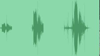 Pistol Gun Insert Magazine Sound Effects