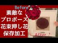 押し花プロポーズ花束の永久保存加工 #shorts #名古屋 #押し花