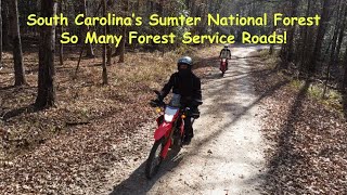 Riding in South Carolina's Sumter National Forest