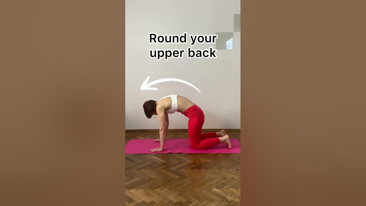 stiff-back-from-sitting-too-long-try-this-youtube