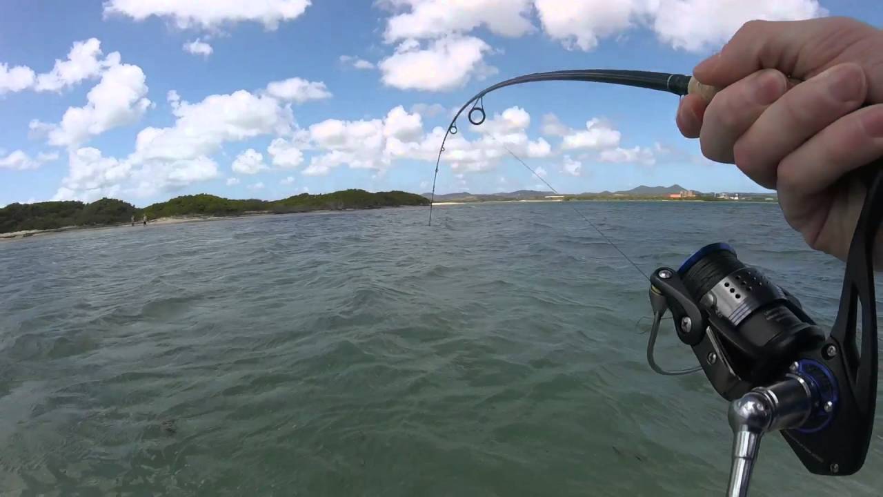 St Croix, USVI Fishing YouTube