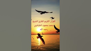 القرآن الكريم #المصحف #تلاوات_رائعة #اكسبلور