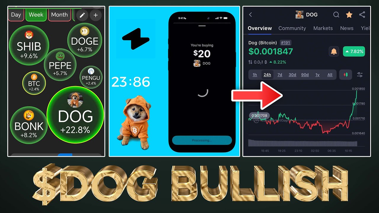 $DOG Top Meme Gainer & Now Available on Zap App ⚡️