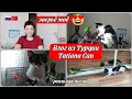 Влог из Турции/Что творит🐈😳/у нас два попугая 😀/Лира у нас уже месяц😻/гоняю обоих😂/реальная жизнь