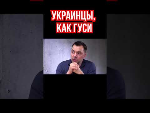 Арестович: Поведением украинцы похожи на гусей