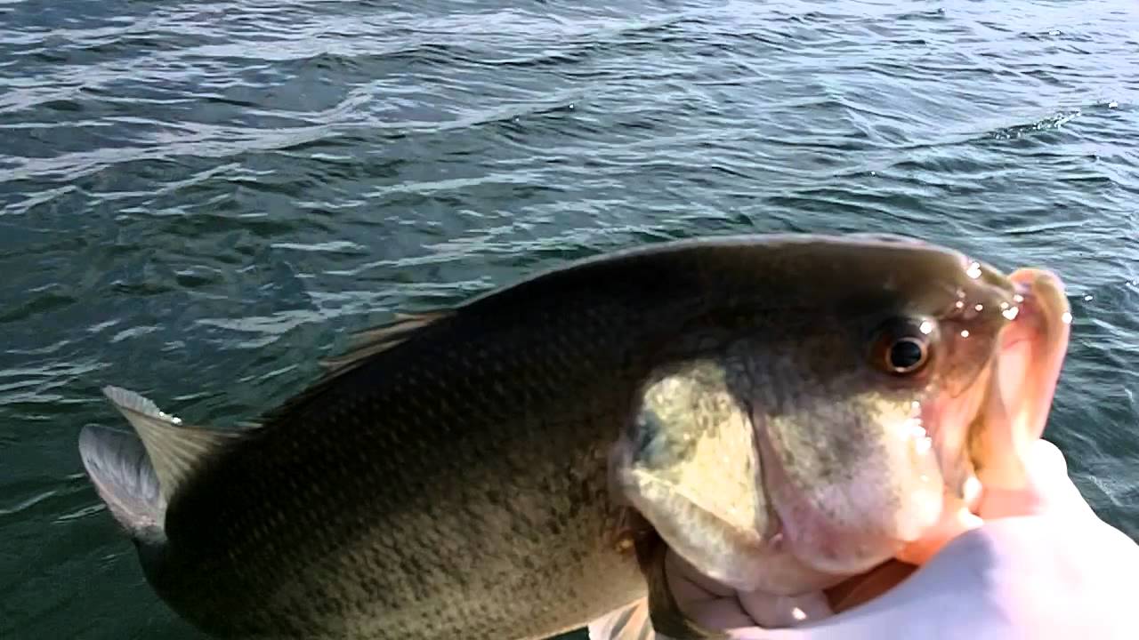 Lake Marburg winter fishing 121910 YouTube