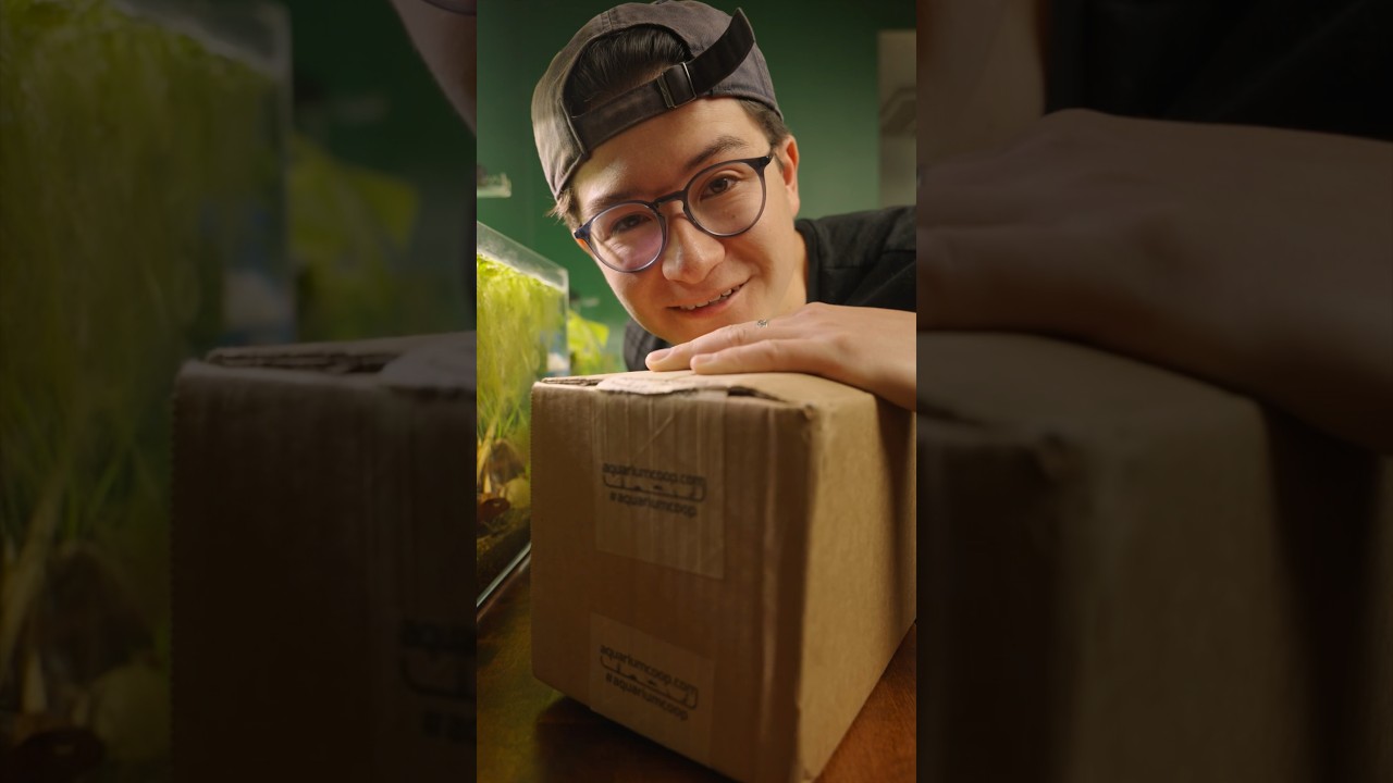 First time using Aquarium CO-OP easy iron! 