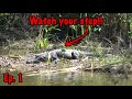 South Florida Public Land Turkey Hunting - Owl Hooting Audio and Alligator Encounters (Ep. 1)