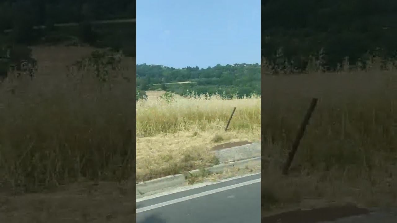 Road Side View
