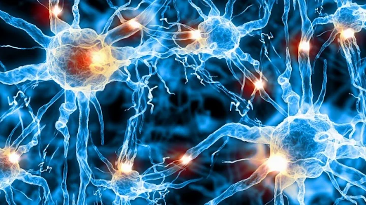 Paradoxie _ Indoxication