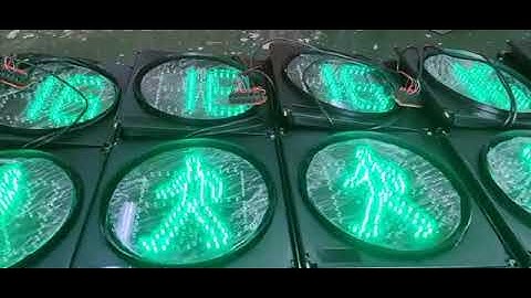 Dynamic pedestrian traffic signal head with countdown timer