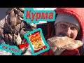 КУРМА-КУРМИШКА, рыбка с излишком! Обед с ДОШИКОМ! Задушевненько!