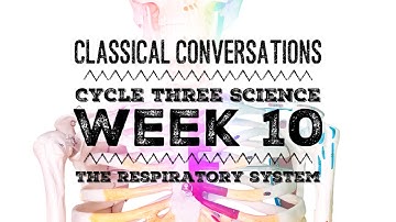 Classical Conversations cycle three science week 10 the respiratory system