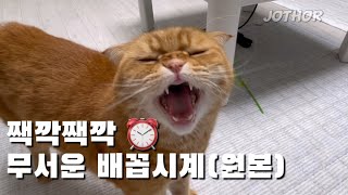 짹깍짹깍 ⏰ 무서운 배꼽시계 (원본)