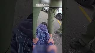 Convicted Felon Found With Gun, Drugs Arrested at Tesla Charging Station in Tampa: HCSO