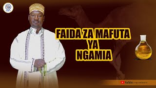 FAIDA ZA MAFUTA YA NGAMIA | MCHANGANYIKO WAKE  TIBA YA UCHAWI WA MIONZI | BIASHARA HUSDA'ABUU JADAWI
