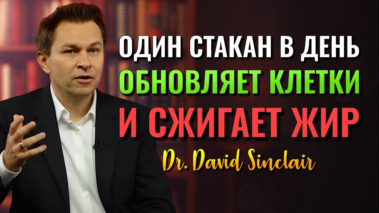 Напиток, Который Обновляет Ваши Клетки и Сжигает Жир на Животе (Dr. David Sinclair)