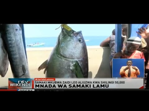Mnada Wa Samaki Lamu 