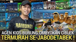 KIOS BMJ ! OBRAL CIBLEK SEMI SUDAH NGVOER TERMURAH SEMAKIN LENGKAP DI BOWO MURAI JELAMBAR 1