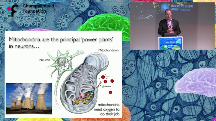 James Surmeier  - Alzheimer's Global Summit - XI CIBERNED SCIENTIFIC FORUM 21/09/2017