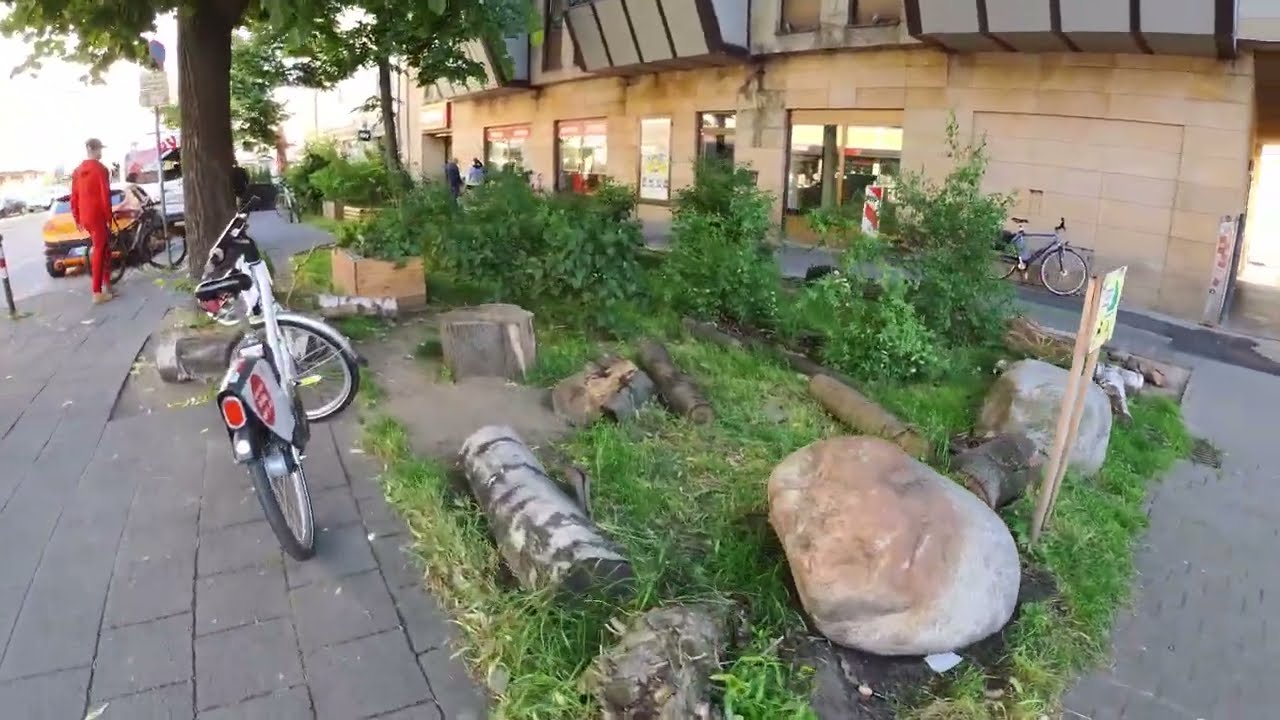 Meine Baumpatenschaften in Nürnberg