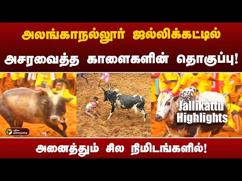 அலங்காநல்லூர் ஜல்லிக்கட்டில் அசரவைத்த காளைகளின் தொகுப்பு! | Jallikattu Highlights