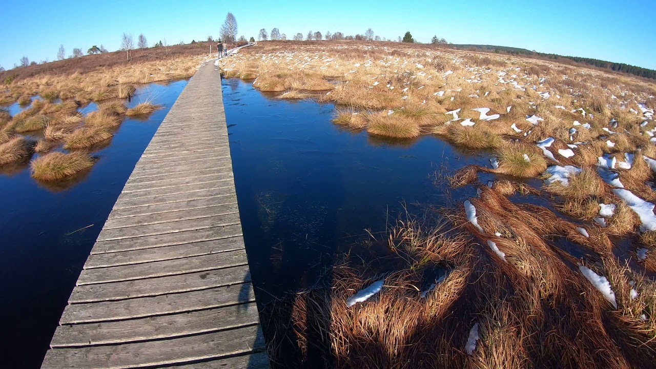 Brackvenn- Hautes Fagnes -Belgium 4K- 08 Fév  2020