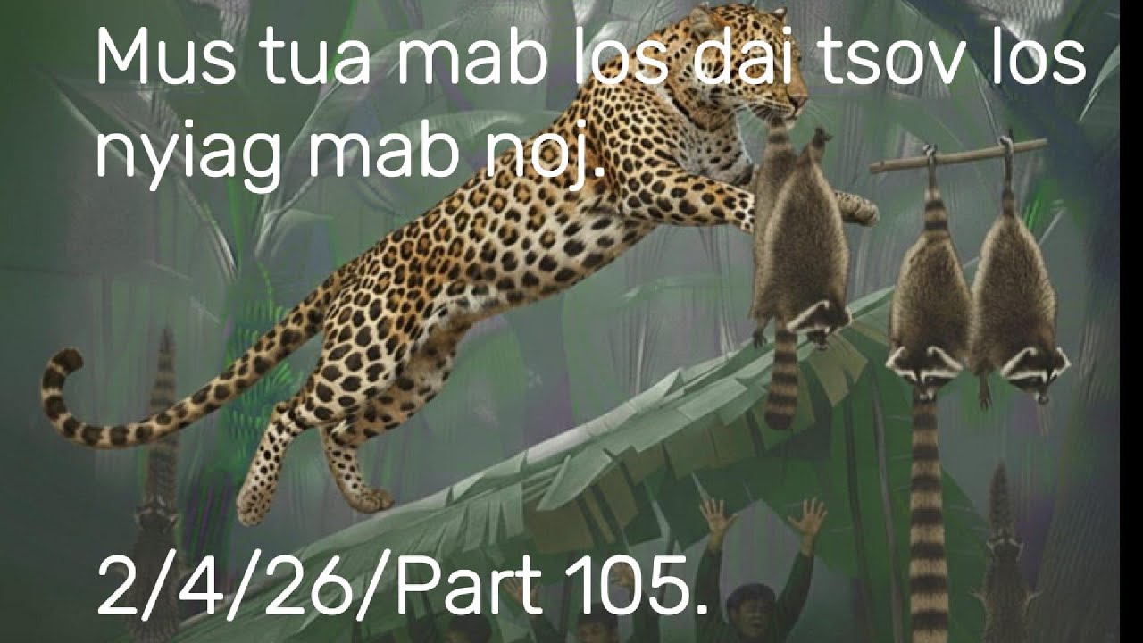 Txoov neeb lawv peb kwv tij mus tua mab coj los dai tsov los nyiaj mab noj.