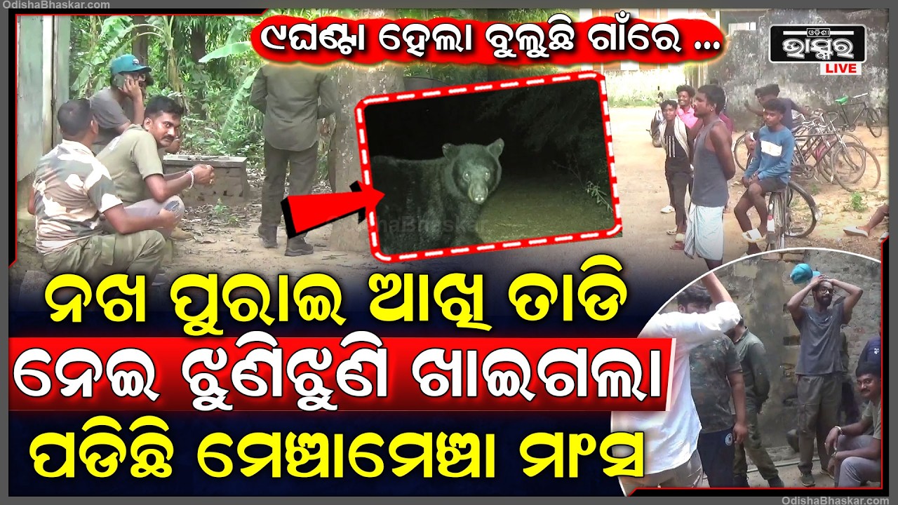 ମହିଳାଙ୍କ ଉପରକୁ ଡେଇଁ ନଖ ପୁରାଇ ଆଖି ତାଡି ନେଇଗଲା ମଣିଷଖିଆ ଭାଲୁ, ପଡିଛି ପୁଳାପୁଳା ମାଂସ
