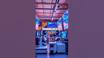 Exploring the Basics of AI Training Datasets