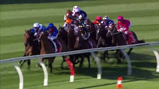 2023 W. S. Cox Plate 覺士盾