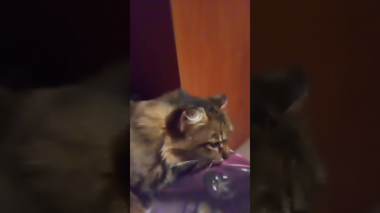 #рекомендации