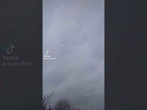 chasse: quand ça tourne !!!🦆