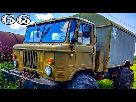 Бибика на машине