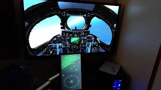DCS F-14B export instruments