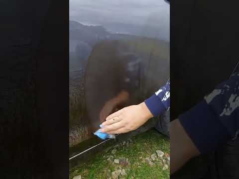 Как удалить битум с машины #лайфхаки