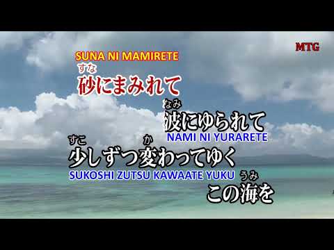島人ぬ宝   Shimamtyu nu Takara   Karaokê + Romaji