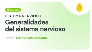 Overview of the Nervous System | Biology | Nervous System | V1 | Egg Educación